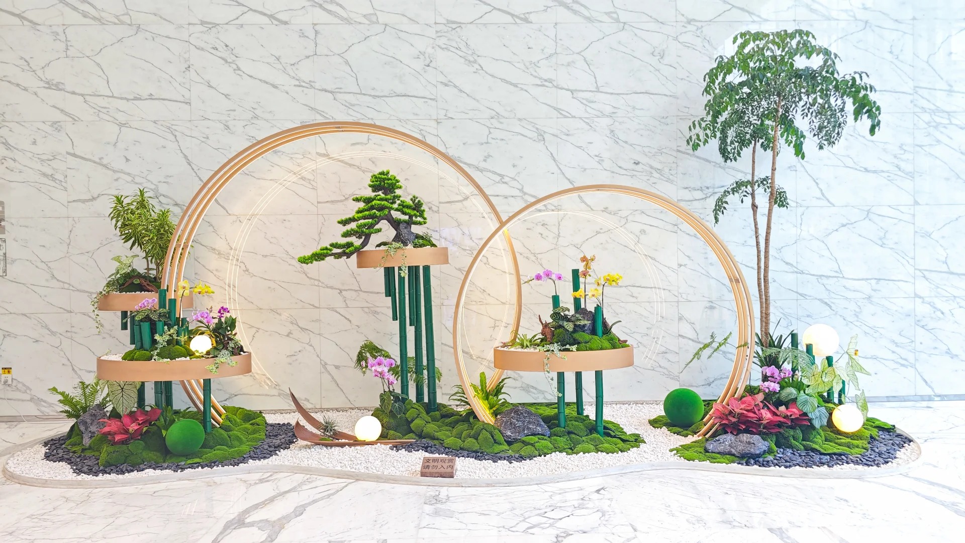 体验鄞州盆景租摆,畅享自然与艺术融合之美!
