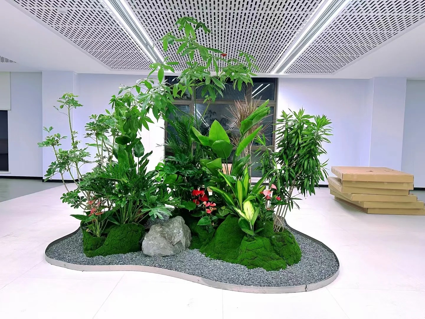 体验鄞州盆景租摆,畅享自然与艺术融合之美!